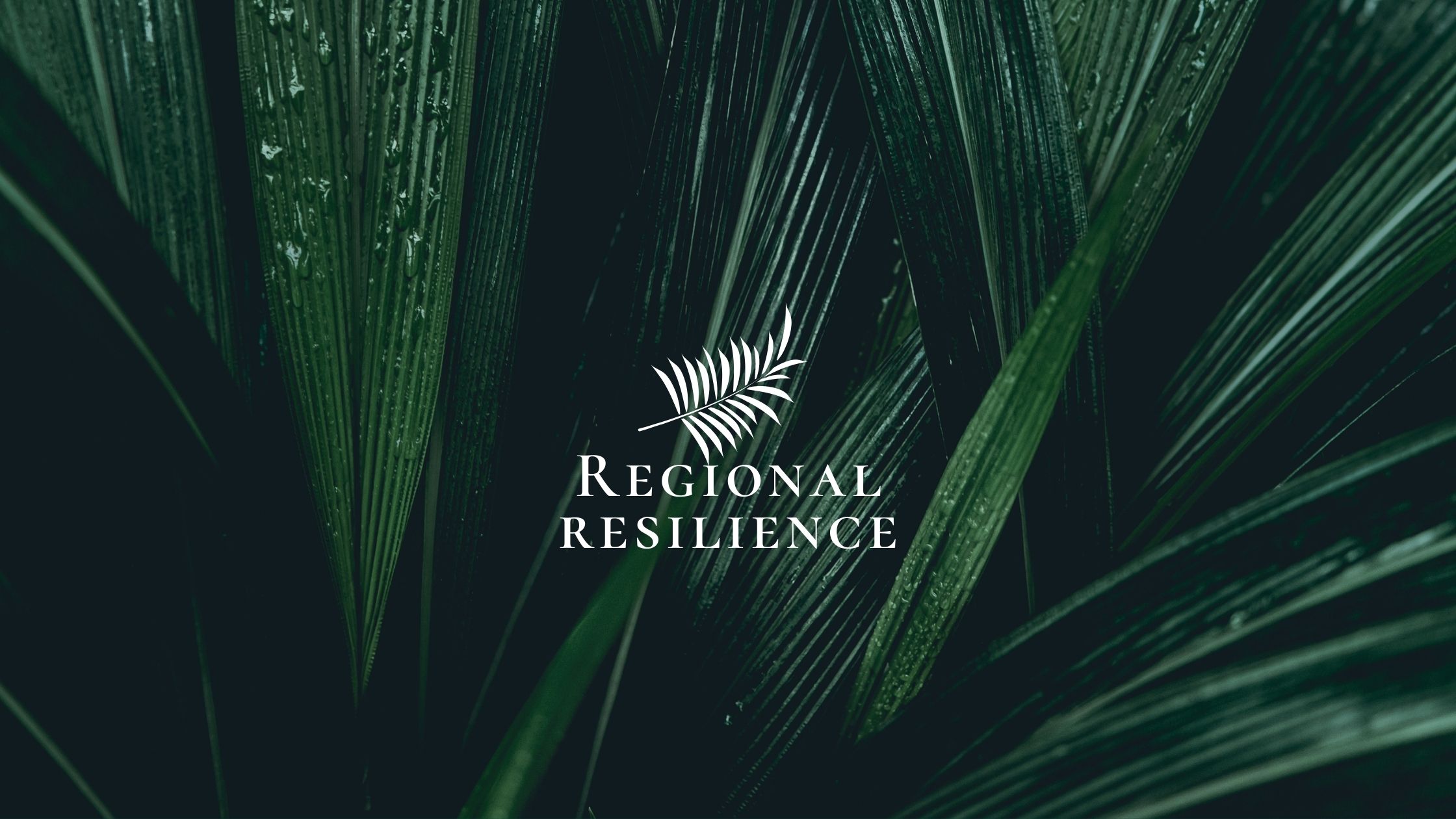 Regional resilience