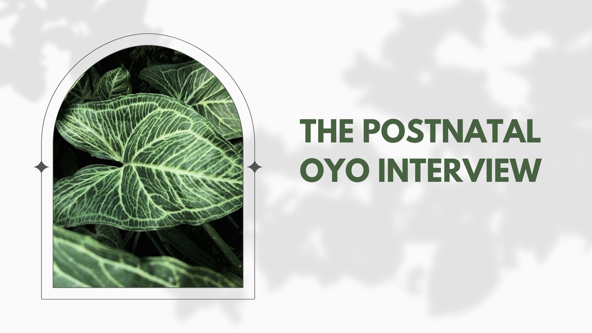 The Postnatal OYO Interview